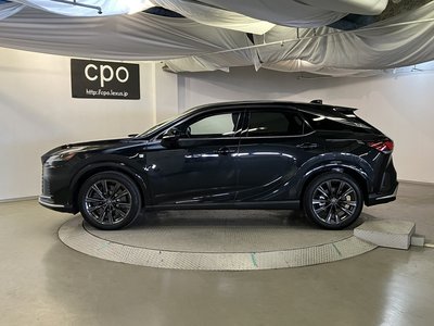 LEXUS RX - 6