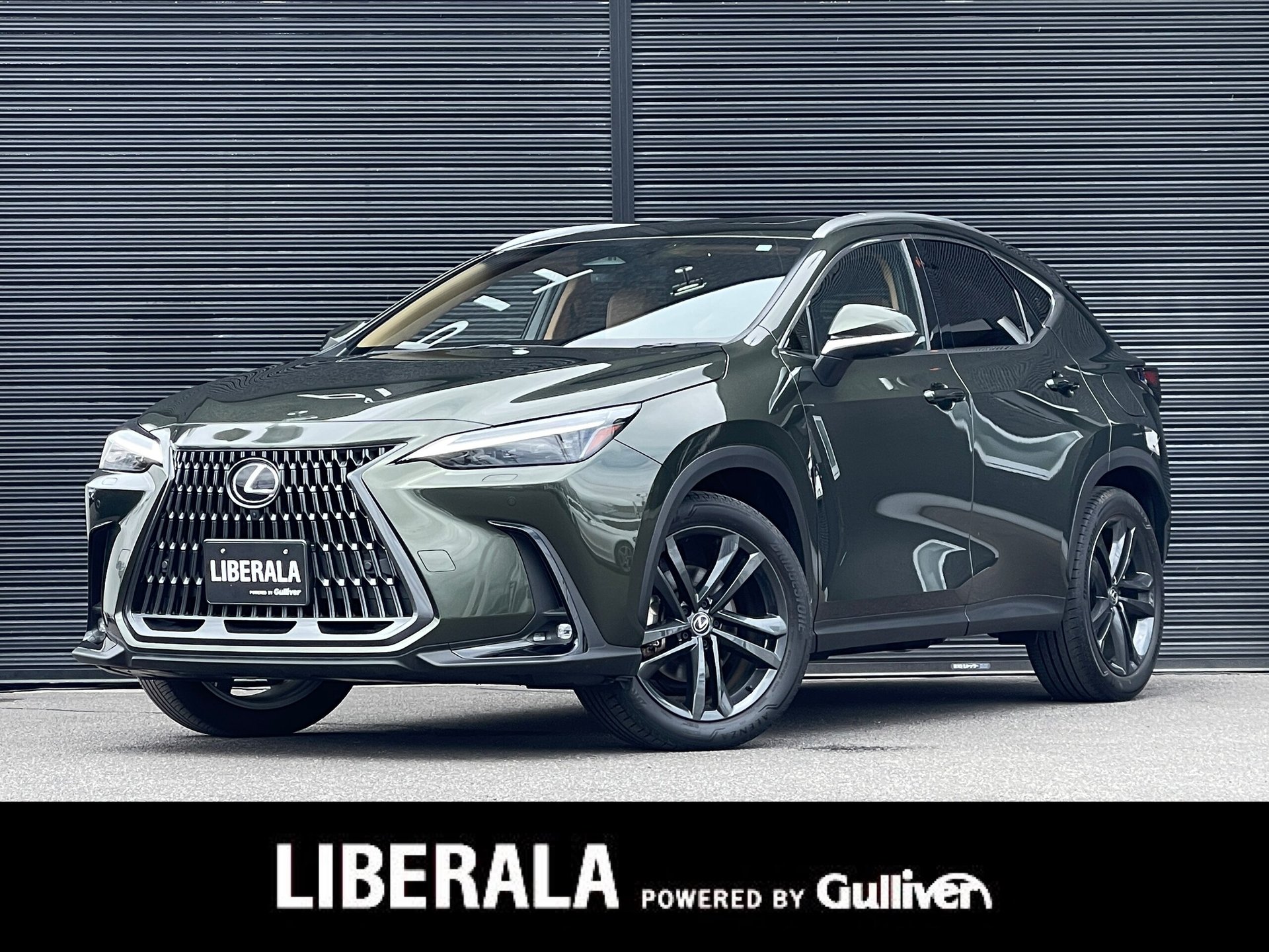 LEXUS NX - View 1