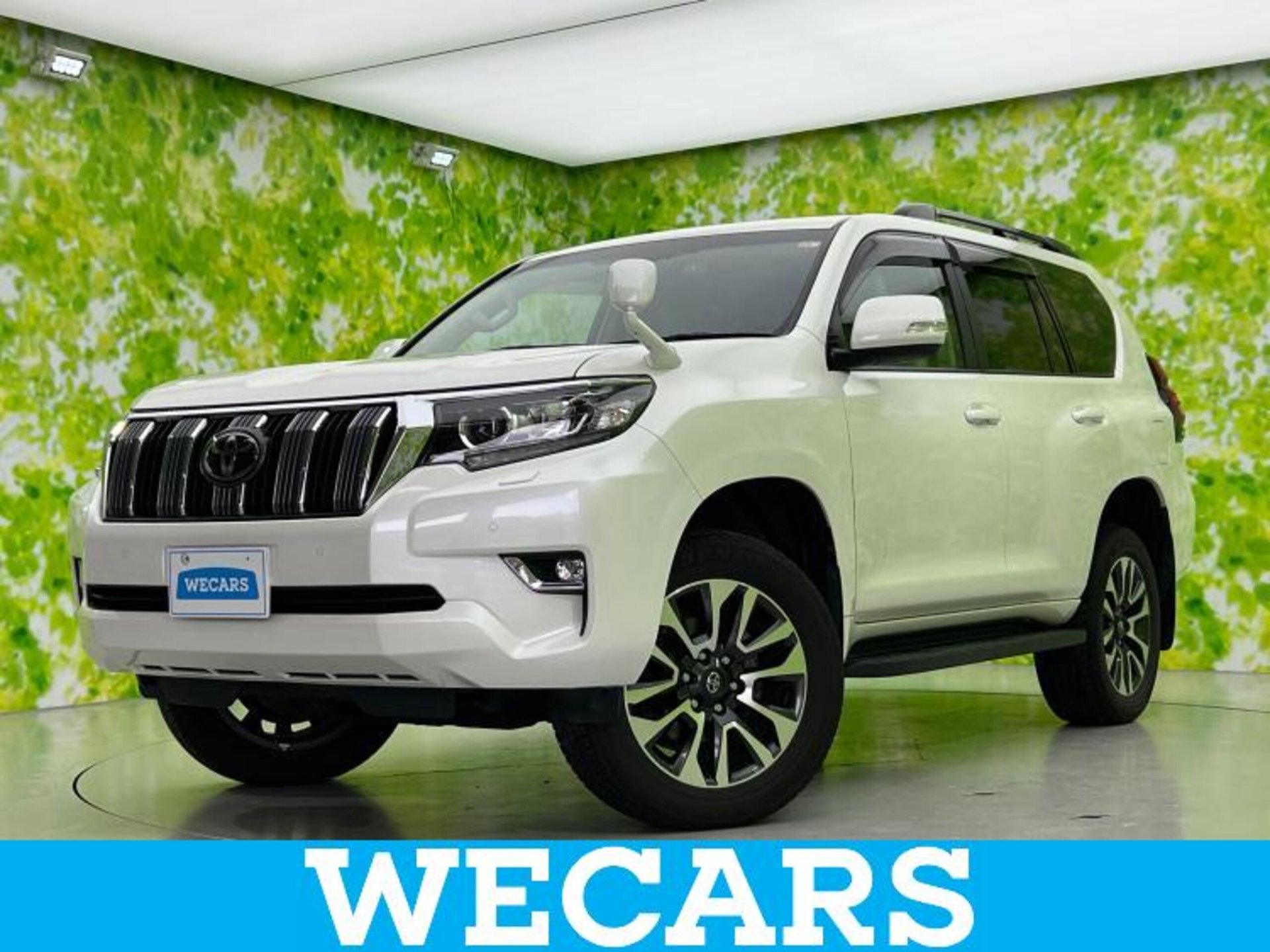 TOYOTA LAND CRUISER PRADO - View 1