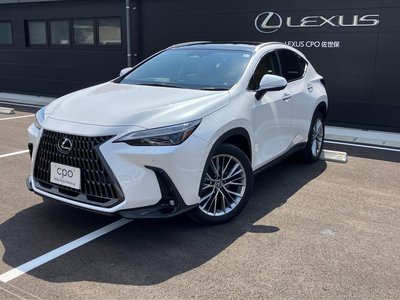 LEXUS NX - 1