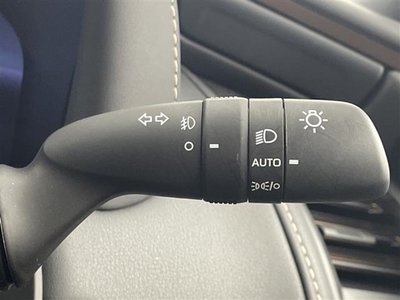 2025 TOYOTA ALPHARD 缩略图 23