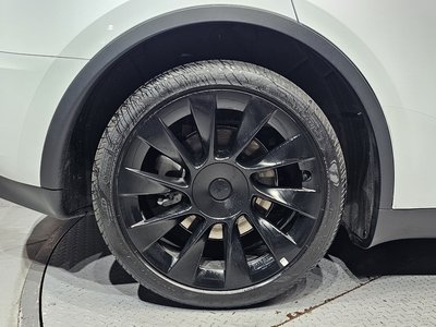 TESLA MODEL Y - 6