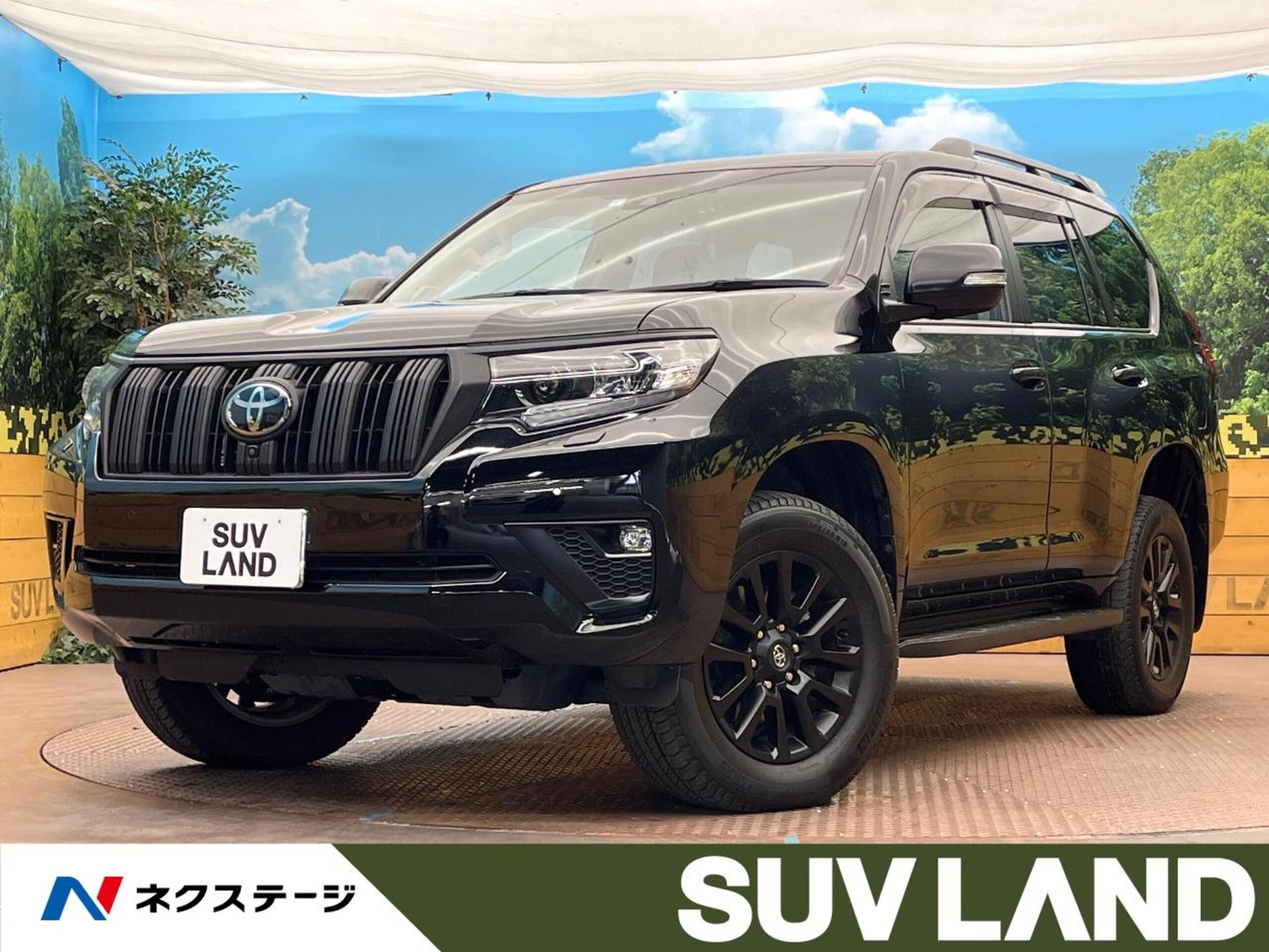 TOYOTA LAND CRUISER PRADO - View 1