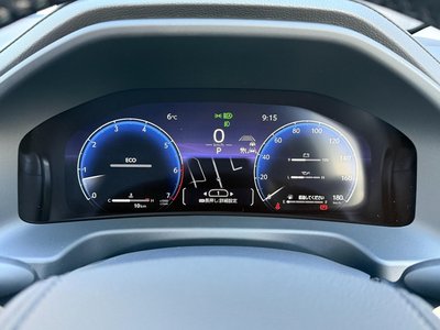 TOYOTA LAND CRUISER 300 - 3