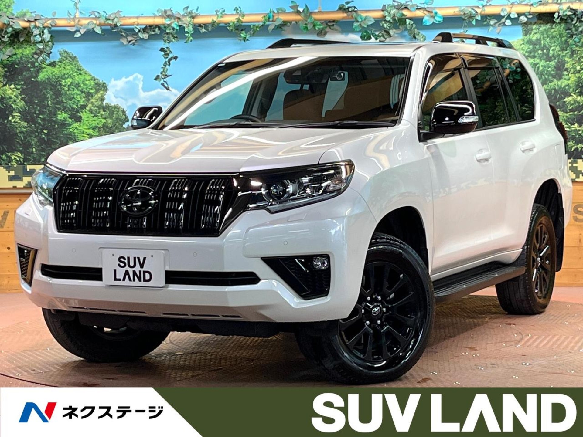 TOYOTA LAND CRUISER PRADO - View 1