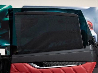 2020 Maserati LEVANTE 照片 10