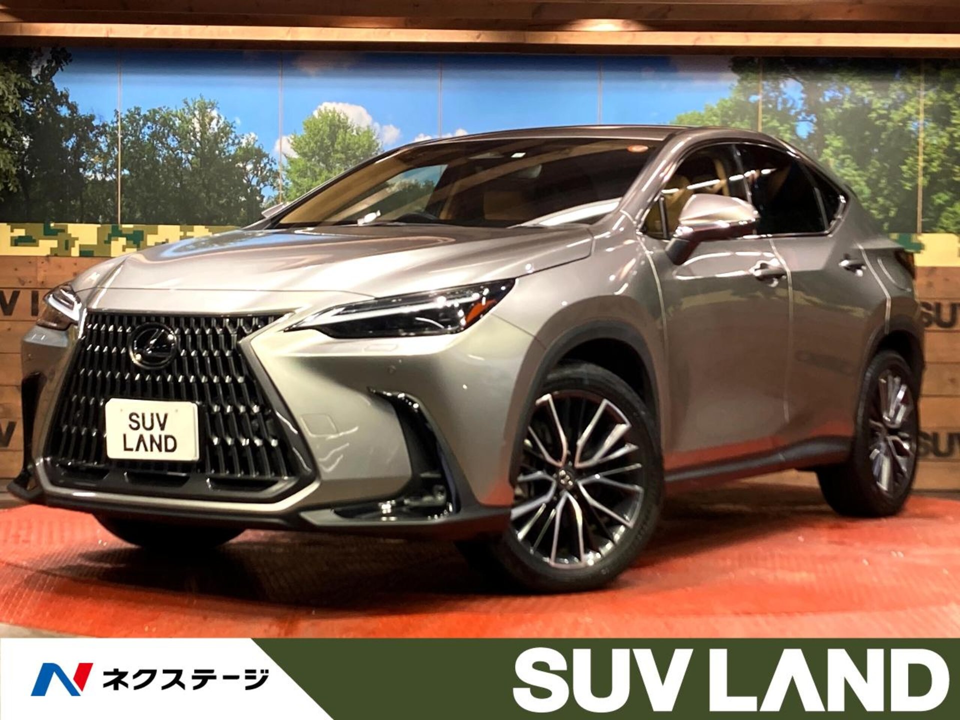 LEXUS NX - View 1