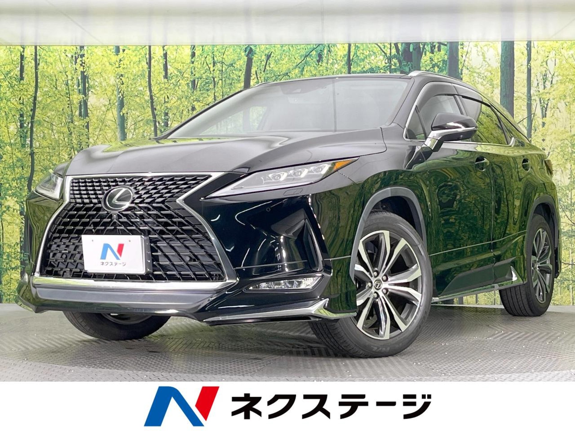 LEXUS RX - View 1