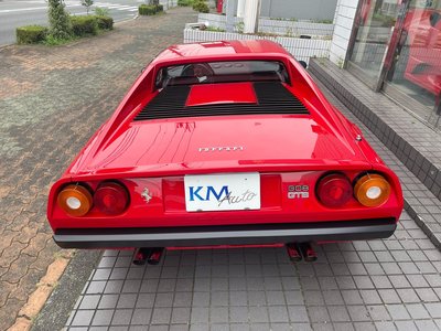 1979 Ferrari 308 GTB 照片 7