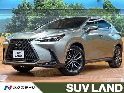 LEXUS NX - 1