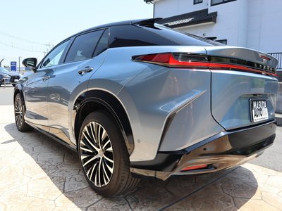 2023 Lexus RZ 照片 5