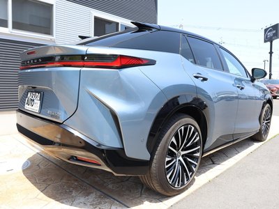 2023 Lexus RZ 照片 7
