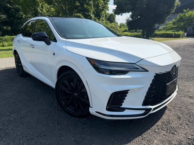 2023 Lexus RX thumbnail 14