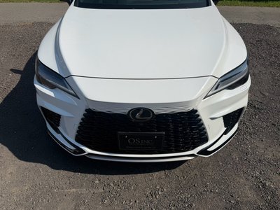 2023 Lexus RX thumbnail 20