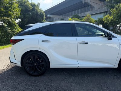 2023 Lexus RX thumbnail 19