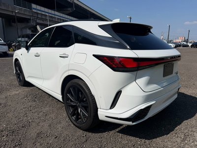 2023 Lexus RX thumbnail 29