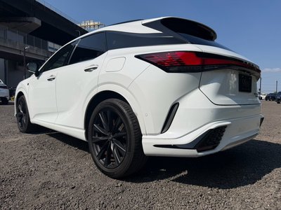2023 Lexus RX thumbnail 30