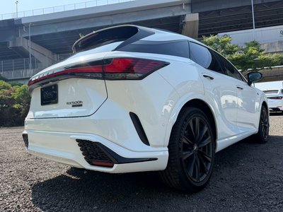 2023 Lexus RX thumbnail 25