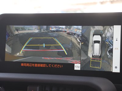 TOYOTA LAND CRUISER 250 - 7