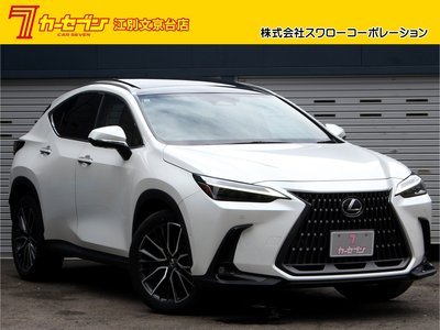 LEXUS NX - 1