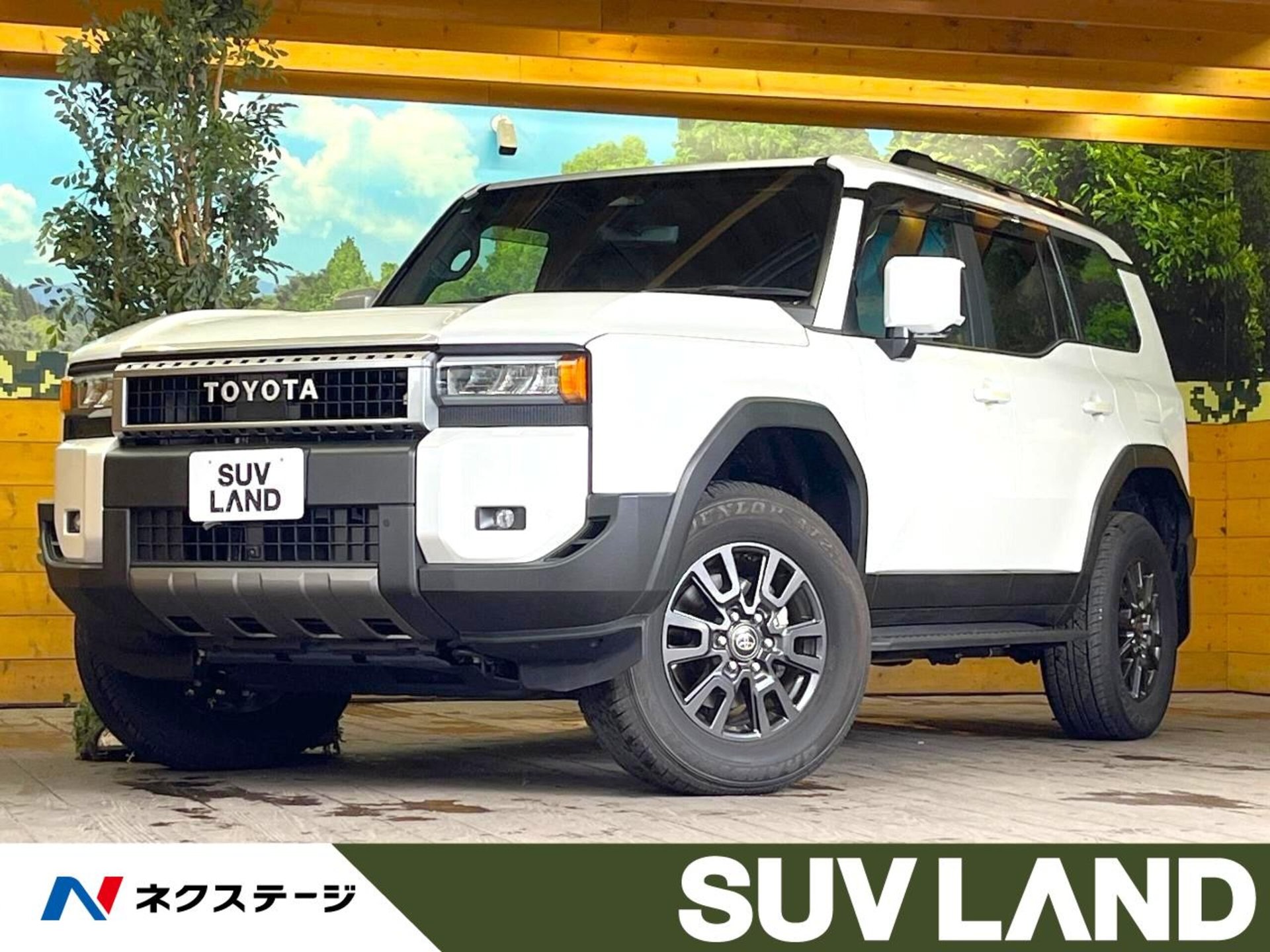 TOYOTA LAND CRUISER 250 - View 1