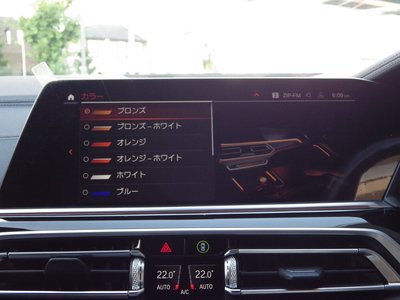 2021 BMW X6 缩略图 31