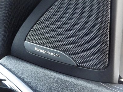 2021 BMW X6 缩略图 34