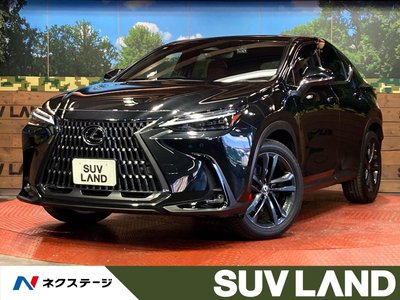 LEXUS NX - 1