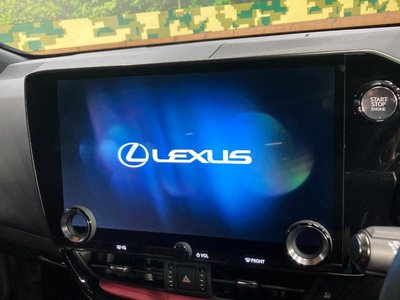 LEXUS NX - 4