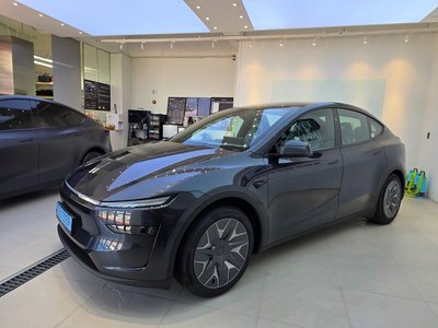 2026 Tesla MODEL Y 照片 6
