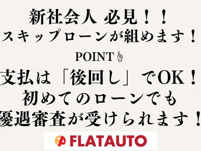 2021 Toyota ALPHARD thumbnail 49