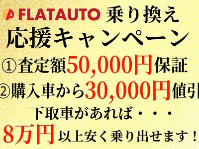 2021 Toyota ALPHARD 照片 5