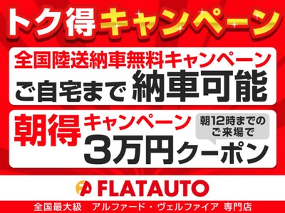 2021 Toyota ALPHARD thumbnail 16
