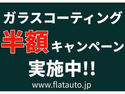 2021 Toyota ALPHARD thumbnail 54