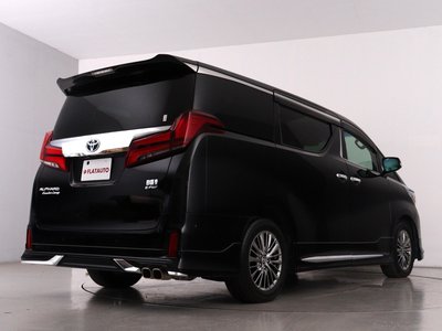 2021 Toyota ALPHARD 照片 10
