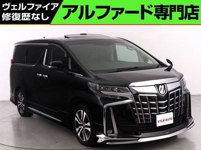 2021 Toyota ALPHARD 照片 1