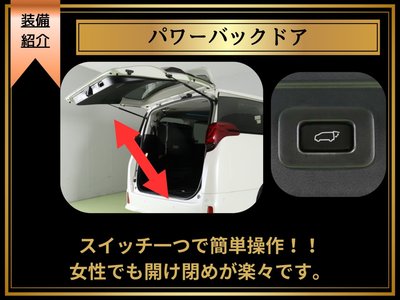 2021 Toyota ALPHARD thumbnail 19