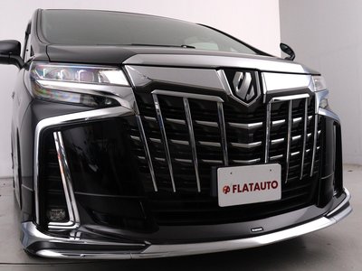 2021 Toyota ALPHARD 照片 2