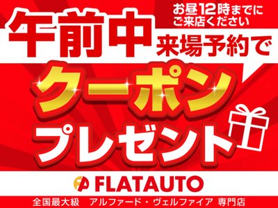 2021 Toyota ALPHARD thumbnail 47