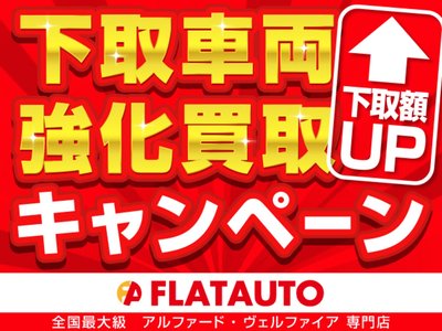 2021 Toyota ALPHARD thumbnail 52