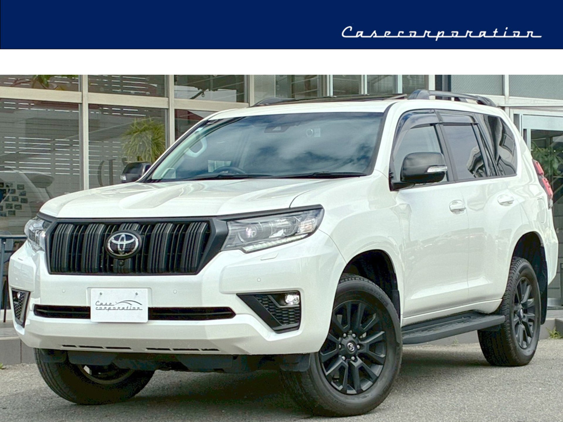 TOYOTA LAND CRUISER PRADO - View 1