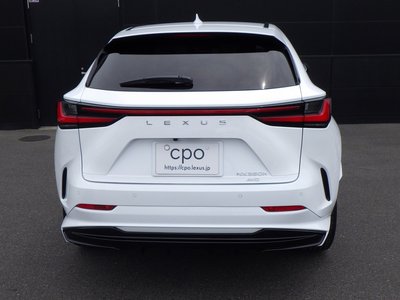 LEXUS NX - 6