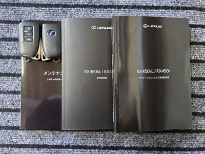 2020 Lexus RX 缩略图 38