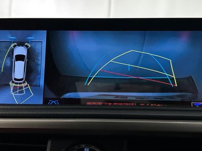 2020 Lexus RX 缩略图 24