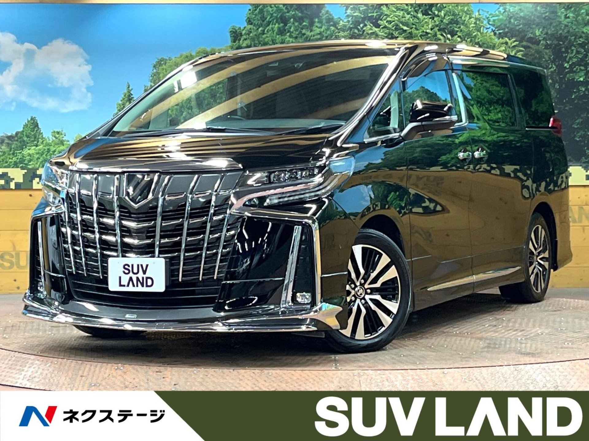 TOYOTA ALPHARD - View 1