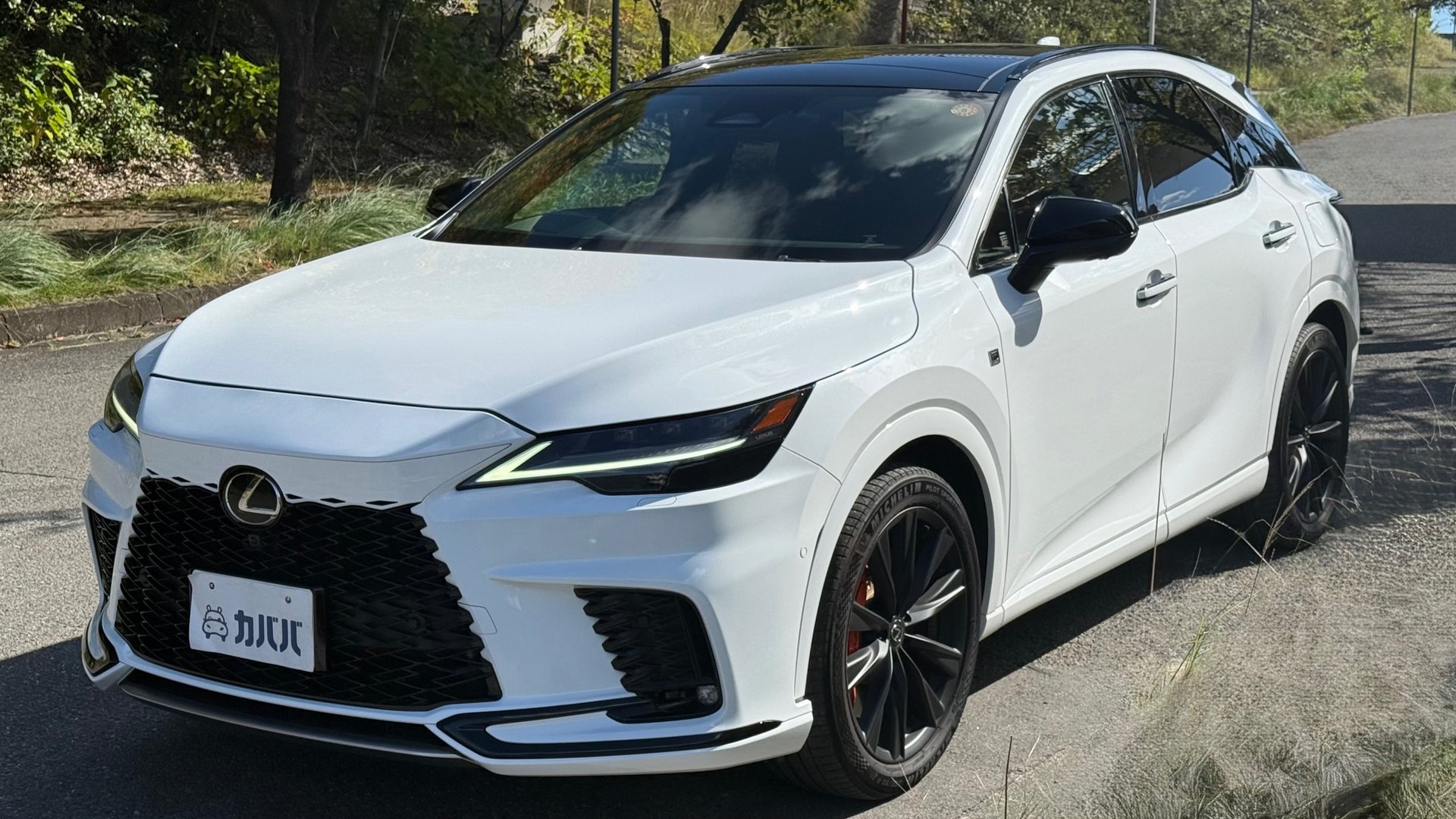 LEXUS RX F SPORT - View 1