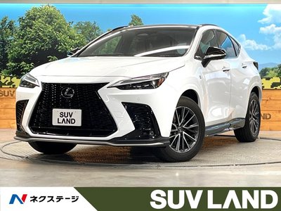 LEXUS NX - 1