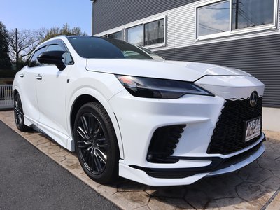 LEXUS RX - 3