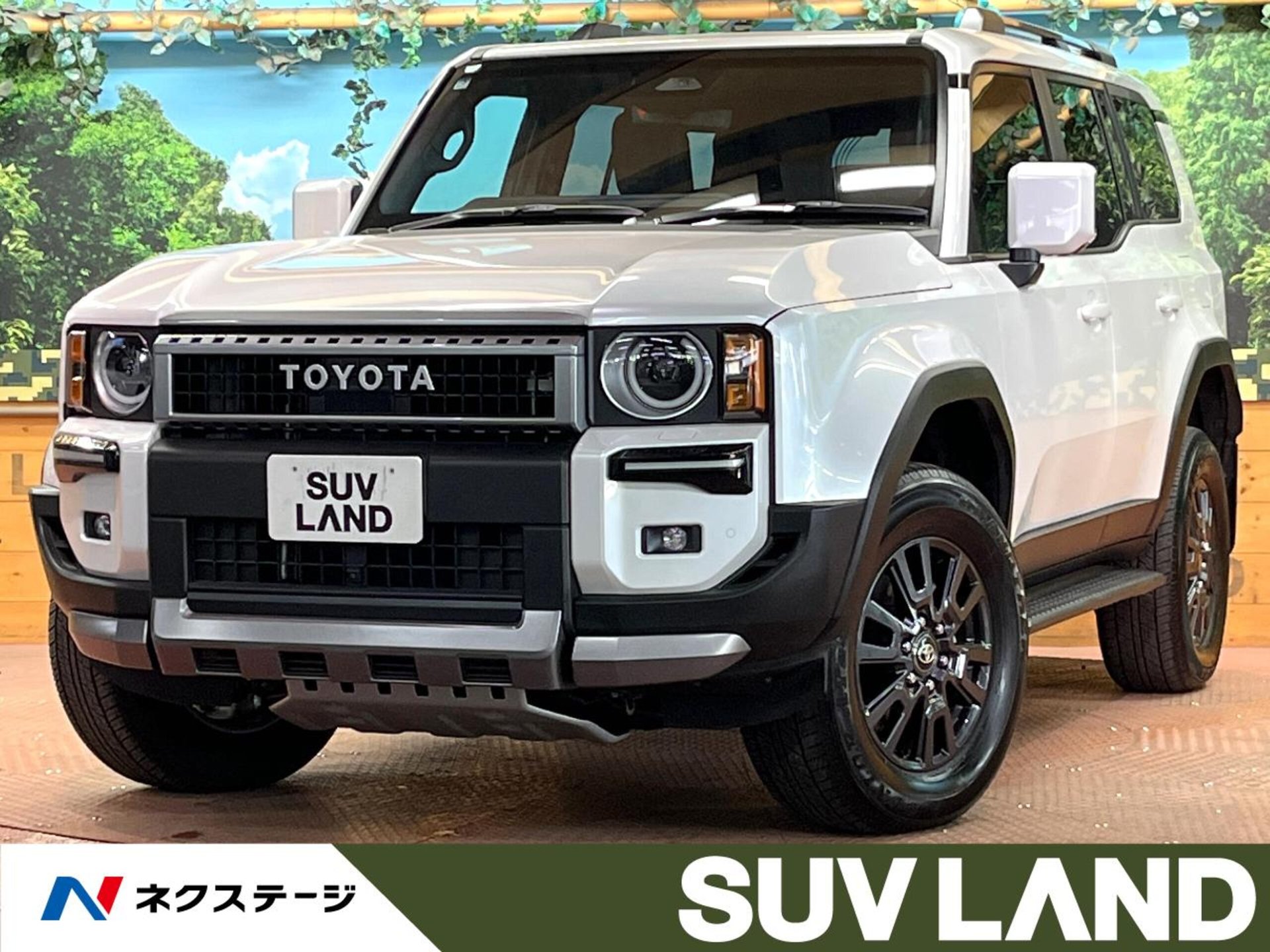 TOYOTA LAND CRUISER 250 - View 1