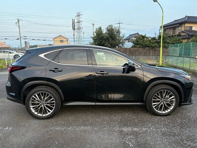 LEXUS NX - 8